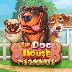 The Dog House Megaways gra w IWild Casino dla graczy z Polski The Dog House Megaways gra w IWild Casino dla graczy z Polski