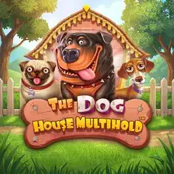 The Dog House Multihold gra w IWild Casino dla graczy z Polski The Dog House Multihold gra w IWild Casino dla graczy z Polski